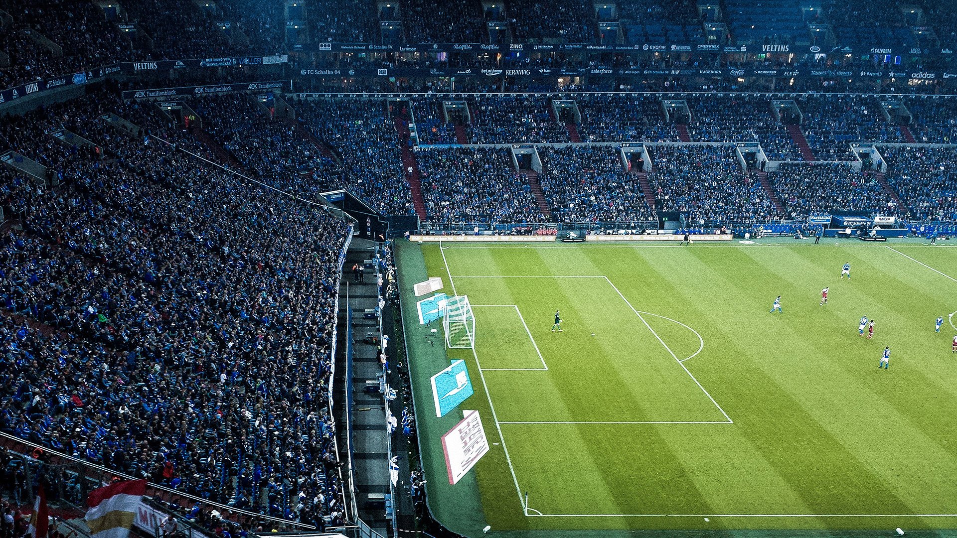 特色野外生存真人秀,竞技、生存与冒险的完美结合,有什么好看的野外生存真人秀